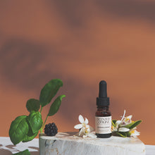 Load image into Gallery viewer, Blossom & Branch