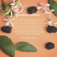 Load image into Gallery viewer, Blossom & Branch