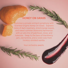 Load image into Gallery viewer, Honey On Grass