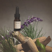 Load image into Gallery viewer, Stern Grove