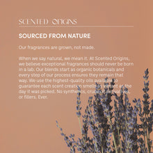 Load image into Gallery viewer, Santal Suprême